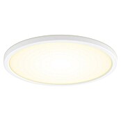 Philips Hue LED-Panel rund White Tento S (16,6 W, Ø x H: 29,1 x 3,2 cm, Weiß, Warmweiß) | BAUHAUS