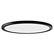 Philips Hue LED-Panel rund White Ambiance Tento XL (25 W, Ø x H: 54,2 x 3,56 cm, Schwarz, Kaltweiß) | BAUHAUS