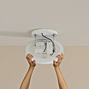 Philips LED-Deckenleuchte rund Datura (48 W, Ø x H: 39,5 x 5 cm, Weiß, RGBW) | BAUHAUS
