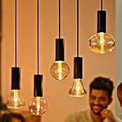 Philips Hue Pendelleuchte Kordel (Schwarz, E27, 1 500 mm) | BAUHAUS