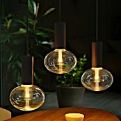 Philips Hue Smart-LED-Lampe Waca Lightguide Ellipse (E27, Dimmbar, RGBW, 500 lm, 6,8 W, 1 Stk.) | BAUHAUS