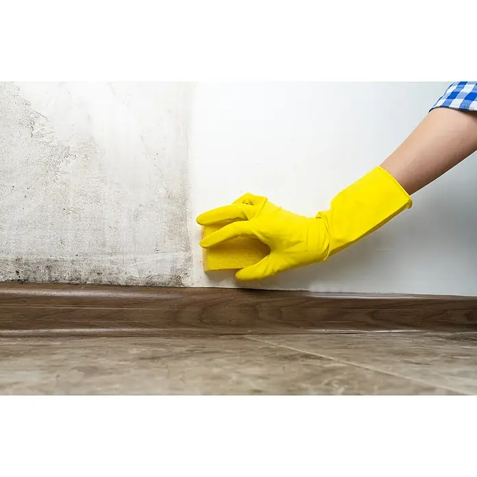 Bruguer Limpiador antimoho - Botella, 1 l - Alguien con guantes de goma amarillos está limpiando una pared mohosa con una esponja amarilla para mantener la casa limpia.