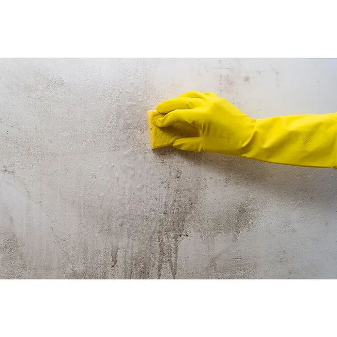 Bruguer Limpiador antimoho - Botella, 1 l - Guantes de goma amarillos limpiando una pared manchada con una esponja, trabajando para eliminar la suciedad visible.