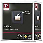 Paulmann LED-Wandstrahler (2,2 W, L x B x H: 4,2 x 8 x 8 cm, Schwarz, Warmweiß) | BAUHAUS
