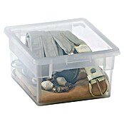 Terry Light Box Caja con tapa (17,8 x 20,4 x 10 cm, Capacidad: 2,5 l)