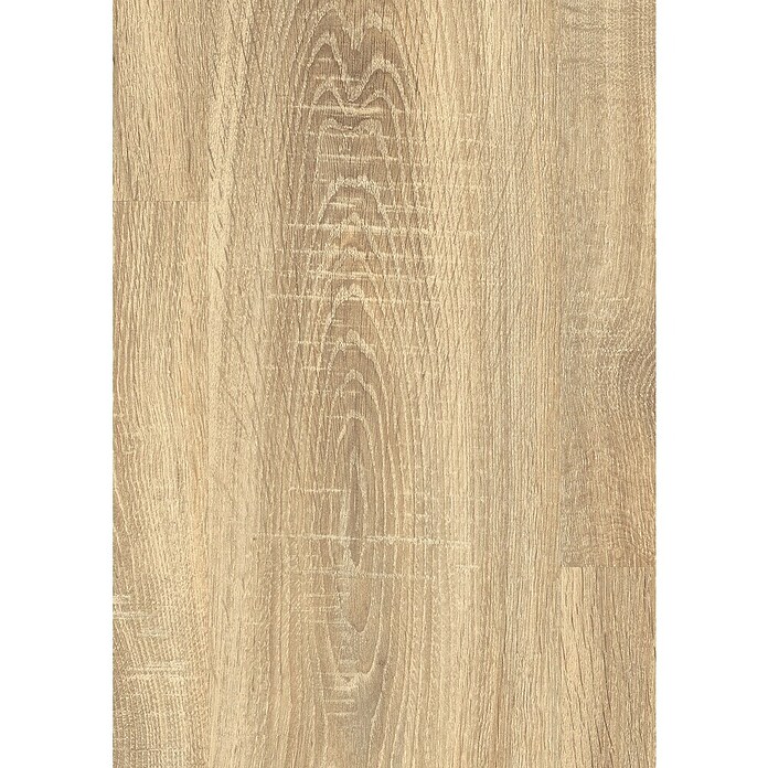 Egger Laminat Bardolino Hrast  (1.292 x 193 x 8 mm) | Laminat | Talne obloge | Izdelki | BAUHAUS