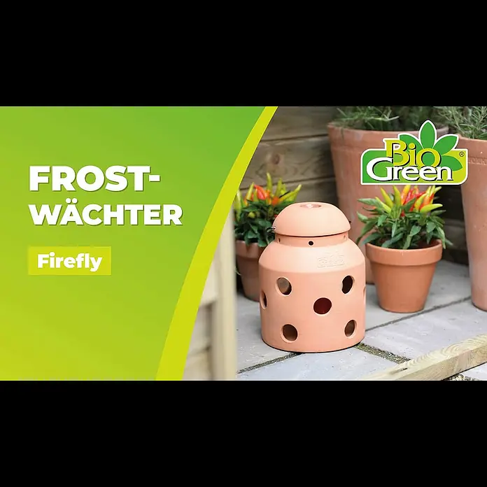 BioGreen Frostwächter Windlicht FireFly - Terracotta - FireFly Kerzen-Frostwchter: Gemtliche Wrme fr kalte Tage!