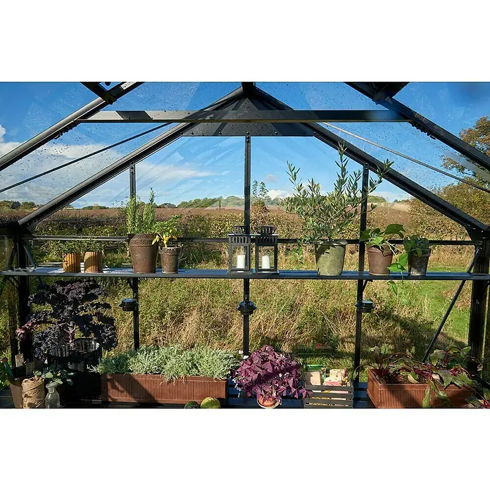 Juliana Gewächshaus Jubii 60 - Material Seitenwand: Glas, 3 mm, Schwarz - Ein Gewächshaus mit Pflanzen auf Regalen, die durch die Glasscheiben hindurch im Hintergrund einen grünen Garten zeigen.