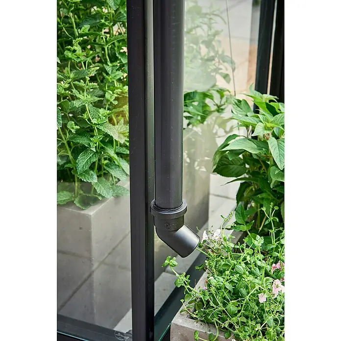 Halls Gewächshaus-Regenfallrohr - Passend für: Halls Gewächshäuser in der Qube Lean-to Serie - Nahaufnahme eines schwarzen Regenrohrs vor üppigem Grün, das Design und Funktionalität vereint, um Wasser effektiv abzuleiten.