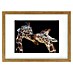 Papermoon Bild 