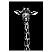 Papermoon Poster (Giraffe Portrait, B x H: 100 x 140 cm, Ohne Passepartout) | BAUHAUS