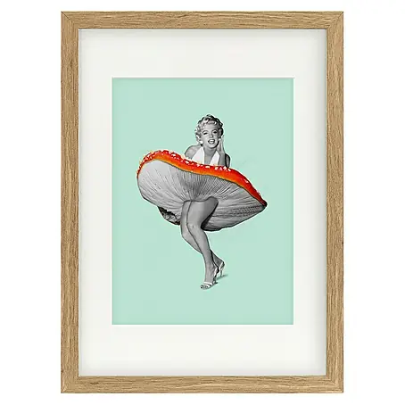 Papermoon  Bild