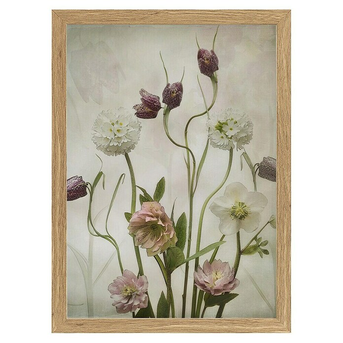 Papermoon Bild (Spring Garden, B x H: 50 x 70 cm, Ohne Passepartout, Rahmen Eiche) | BAUHAUS