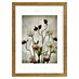 Papermoon Bild 