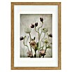 Papermoon Bild (Spring Garden, B x H: 40 x 50 cm, Mit Passepartout, Rahmen Eiche) | BAUHAUS