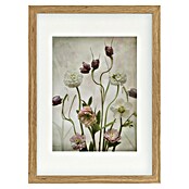 Papermoon Bild (Spring Garden, B x H: 60 x 80 cm, Mit Passepartout, Rahmen Eiche) | BAUHAUS