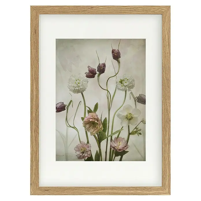 Papermoon Bild - Spring Garden, B x H: 50 x 70 cm, Mit Passepartout, Rahmen Eiche - Gerahmtes Blumenbild mit einer Mischung aus Schachblumen, Helleborus und Zwergprimeln, die auf neutralem Hintergrund elegant zur Geltung kommen.