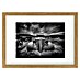 Papermoon Bild 