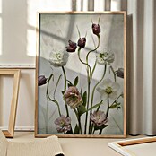 Papermoon Bild (Spring Garden, B x H: 50 x 70 cm, Ohne Passepartout, Rahmen Eiche) | BAUHAUS