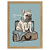 Papermoon Bild (Frenchie Want Travel, B x H: 70 x 100 cm, Ohne Passepartout, Rahmen Eiche) | BAUHAUS