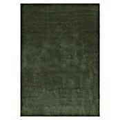 Hochflorteppich Lauria (Dunkelgrün, 170 x 120 cm, 100 % Polyester) | BAUHAUS