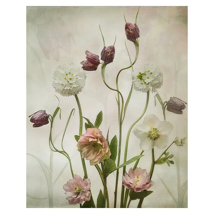 Papermoon Poster - Spring Garden, B x H: 40 x 50 cm, Ohne Passepartout - Eine Nahaufnahme von verschiedenen Blumen in zarten Farben, die ein ruhiges und friedliches Gefühl vermitteln.