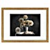Papermoon Bild 