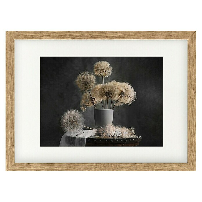 Papermoon Bild (Dandelion Seed, B x H: 70 x 50 cm, Mit Passepartout, Rahmen Eiche) | BAUHAUS