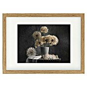 Papermoon Bild (Dandelion Seed, B x H: 70 x 50 cm, Mit Passepartout, Rahmen Eiche) | BAUHAUS