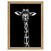 Papermoon Bild (Giraffe Portrait, B x H: 50 x 70 cm, Ohne Passepartout, Rahmen Eiche) | BAUHAUS