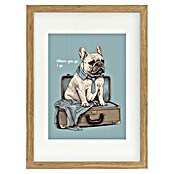 Papermoon Bild (Frenchie Want Travel, B x H: 100 x 140 cm, Mit Passepartout, Rahmen Eiche) | BAUHAUS