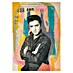 Papermoon Poster 