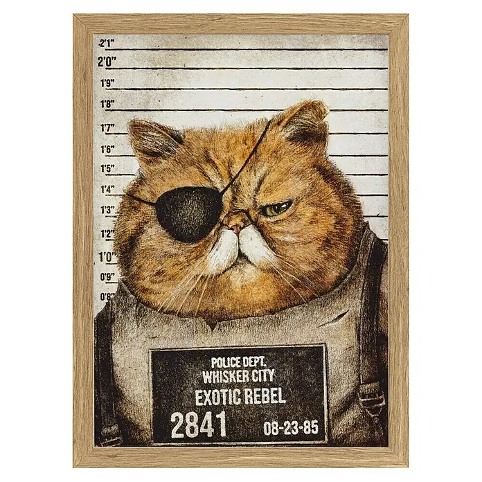 Papermoon Bild - Funny Cat, B x H: 70 x 100 cm, Ohne Passepartout, Rahmen Eiche - Gerahmtes Bild eines frechen Katers mit Augenklappe, der als "Exotic Rebel" in "Whisker City" verhaftet wurde.