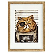 Papermoon Bild (Funny Cat, B x H: 50 x 70 cm, Mit Passepartout, Rahmen Eiche) | BAUHAUS