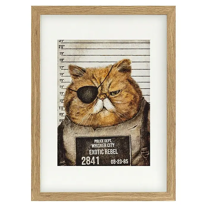 Papermoon Bild - Funny Cat, B x H: 40 x 50 cm, Mit Passepartout, Rahmen Eiche - Gerahmtes Bild eines Katers mit Augenklappe und Verbrecherfoto-Hintergrund mit der Aufschrift "Exotic Rebel".