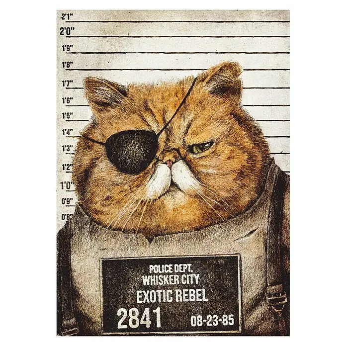 Papermoon Poster - Funny Cat, B x H: 40 x 50 cm, Ohne Passepartout - Illustration eines mürrischen Katers mit Augenklappe im Polizeifoto-Stil, mit der Aufschrift "Exotic Rebel".