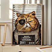 Papermoon Bild (Funny Cat, B x H: 50 x 70 cm, Mit Passepartout, Rahmen Eiche) | BAUHAUS