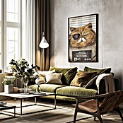 Papermoon Bild (Funny Cat, B x H: 80 x 110 cm, Mit Passepartout, Rahmen Schwarz) | BAUHAUS