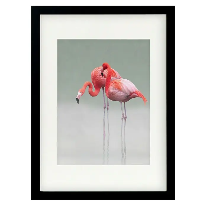 Papermoon Bild - Just we Two, B x H: 70 x 100 cm, Mit Passepartout, Rahmen Schwarz - Gerahmtes Bild von zwei eleganten Flamingos in sanften Farbtönen. Das Bild ist mit einem weißen Passepartout und einem schwarzen Rahmen versehen.