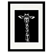 Papermoon Bild (Giraffe Portrait, B x H: 60 x 80 cm, Mit Passepartout, Rahmen Schwarz) | BAUHAUS