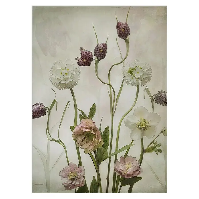 Papermoon Poster - Spring Garden, B x H: 40 x 50 cm, Mit Passepartout - Aquarellbild mit verschiedenen Blumen. Zarte Farben und weiche Konturen verleihen dem Kunstwerk eine ruhige Ausstrahlung.