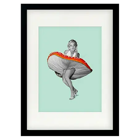 Papermoon  Bild