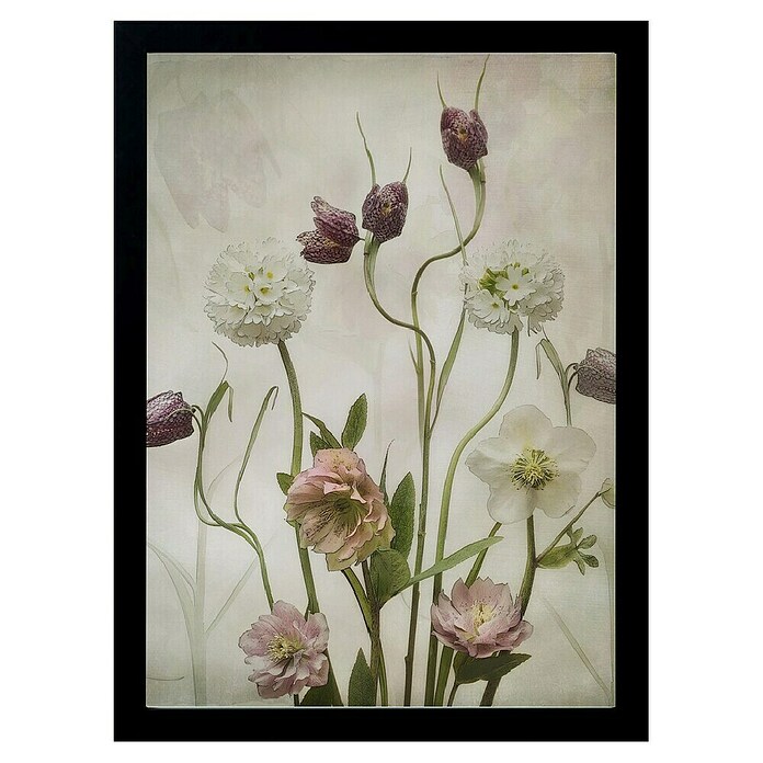 Papermoon Bild (Spring Garden, B x H: 100 x 140 cm, Ohne Passepartout, Rahmen Schwarz) | BAUHAUS
