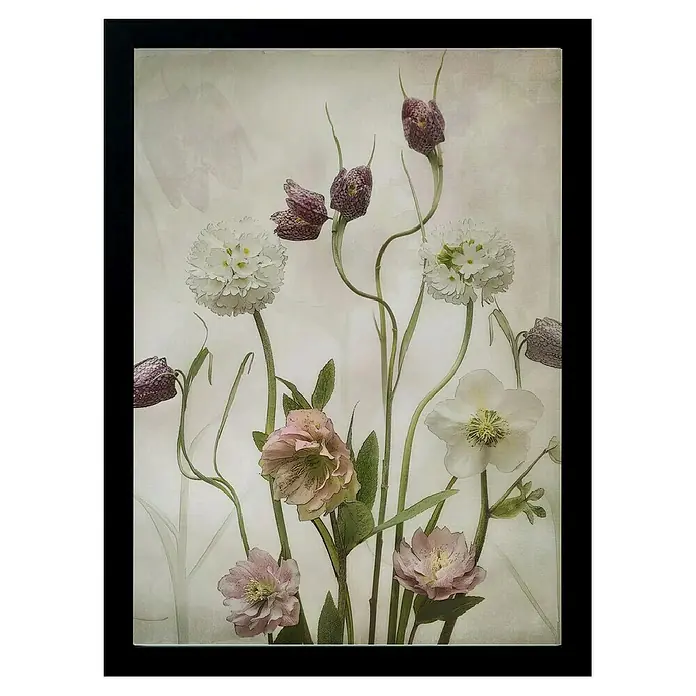 Papermoon BildSpring Garden, B x H: 60 x 80 cm, Ohne Passepartout, Rahmen Schwarz - Vorderansicht