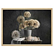 Papermoon Bild (Dandelion Seed, B x H: 70 x 50 cm, Ohne Passepartout, Rahmen Eiche) | BAUHAUS