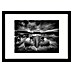 Papermoon Bild 