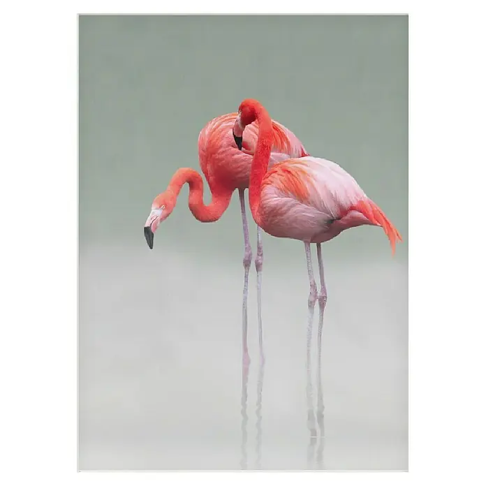 Papermoon Poster - Just we Two, B x H: 50 x 70 cm, Mit Passepartout - Nahaufnahme von zwei rosafarbenen Flamingos, die im trüben Wasser stehen und sich im nebligen Hintergrund spiegeln.
