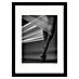 Papermoon Bild 