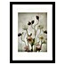 Papermoon Bild 