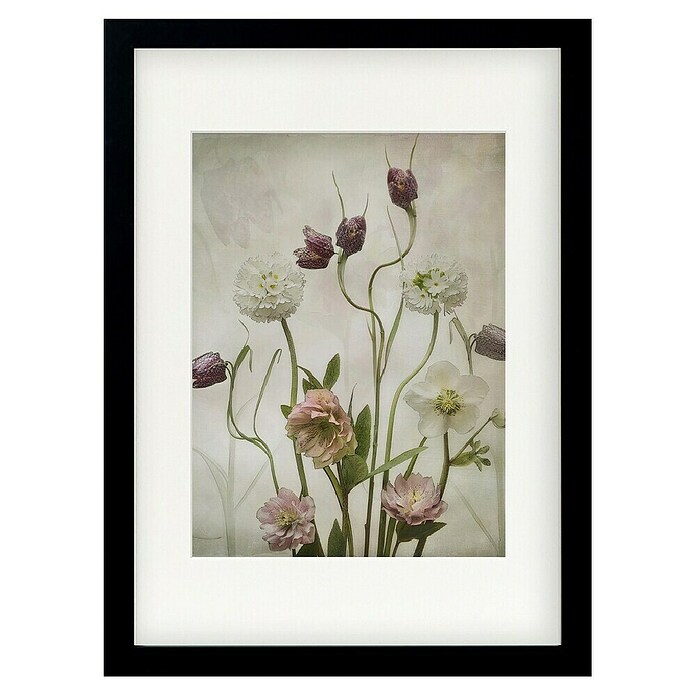 Papermoon Bild (Spring Garden, B x H: 40 x 50 cm, Mit Passepartout, Rahmen Schwarz) | BAUHAUS
